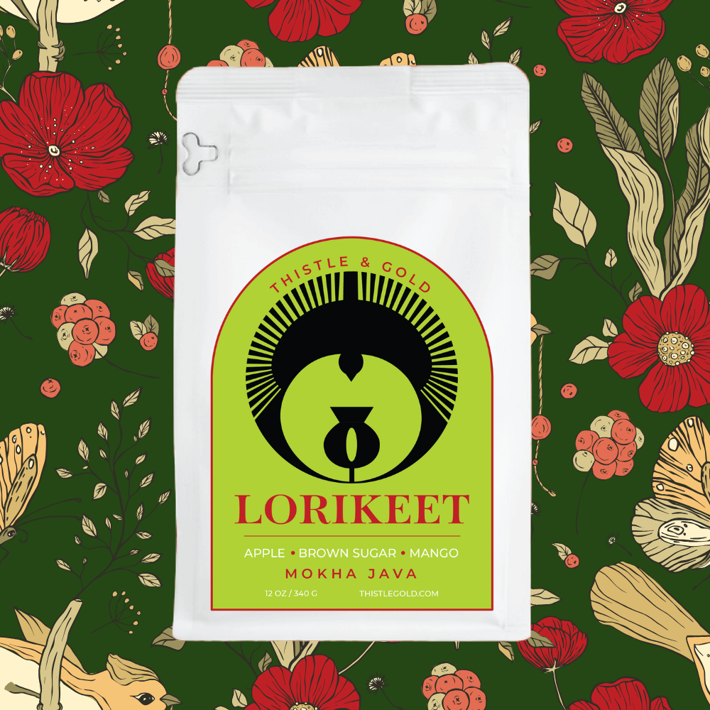 Lorikeet