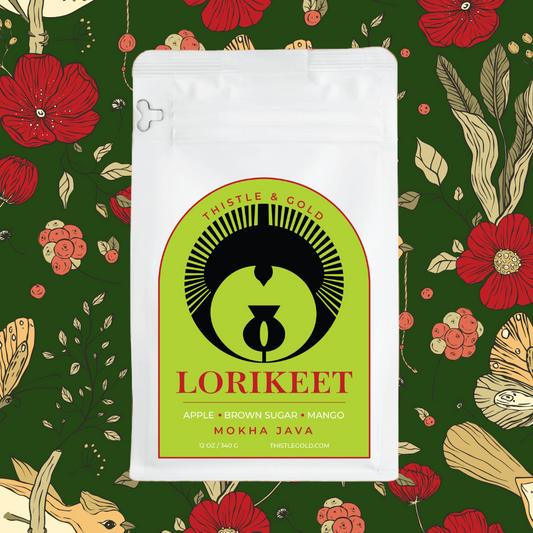 Lorikeet
