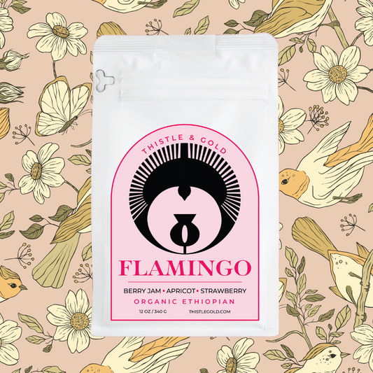Flamingo
